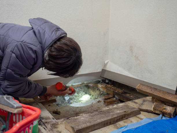 Mold Removal for HVAC Installations in Temple, PA
