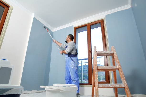 Professional Mold Removal in Temple, PA