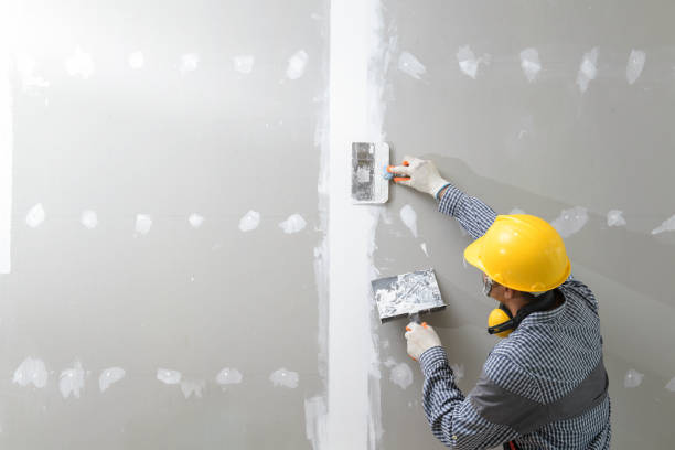 Best Mold Damage Restoration  in Temple, PA