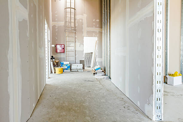 Best Biohazard Mold Removal  in Temple, PA